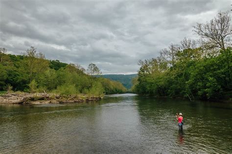 Shenandoah fishing report  Prices and optons are listed including non resident fishing licenses