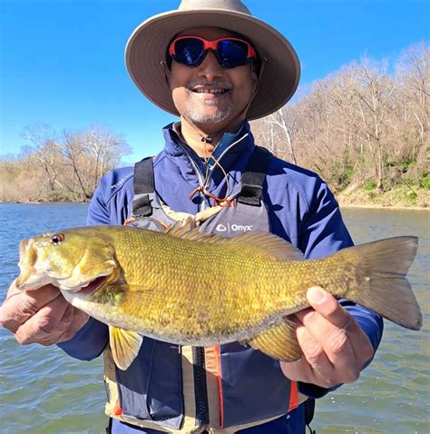 Shenandoah fishing report 4 feet – Low (slower) Below 2