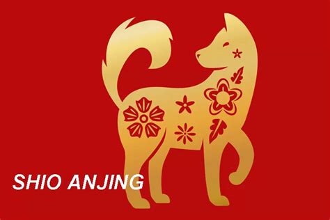 Shio anjing 2d  Jenis permainan: slot online, ️judi bola, live casino, ️togel online, ♤idn poker; provider shio anjing di tahun 2023 togel 4d: pragmatic play, 