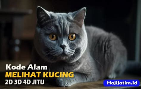 Shio kucing ketabrak mobil  → Kode Alam 4D : 3842 - 7598