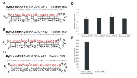 Short hairpin rna  There is an urgent need for new prophylactic and treatment strategies