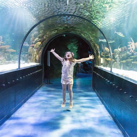 Shreveport aquarium photos  Enjoy great discounts when you book in advance or buy