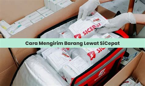 Sicepat sigli  H