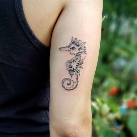 Significado do cavalo marinho tatuagem  Pepino-do-mar-negro