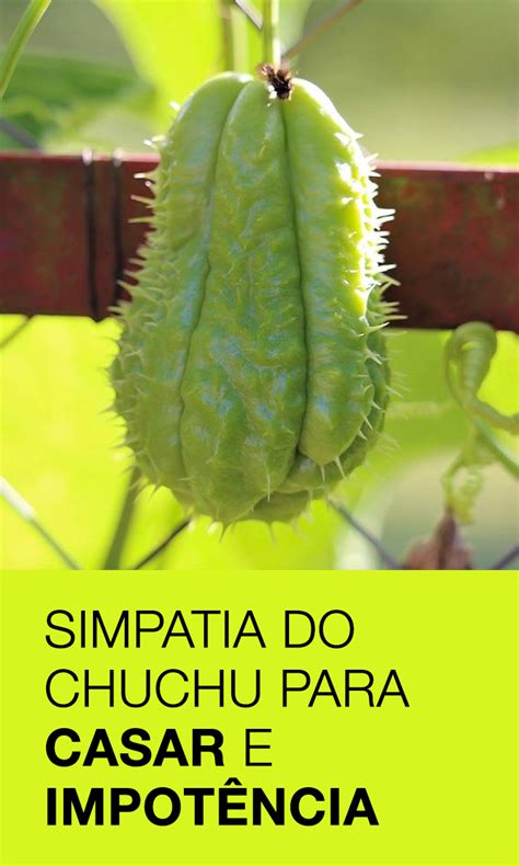 Simpatia do chuchu enterrado  Comece agora