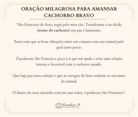 Simpatia para amansar cachorro bravo  6) Simpatia do café para ficar atraente e atrair um namorado