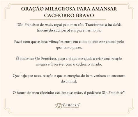 Simpatia para amansar cachorro bravo  Dá saúde a (nome da amiga) para que a sua criança também tenha muita saúde e dá forças a ela e à criança, para que o parto corra bem e sem problemas