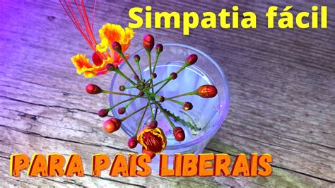 Simpatia para ter pais liberais urgente Simpatias Fortes e Poderosas