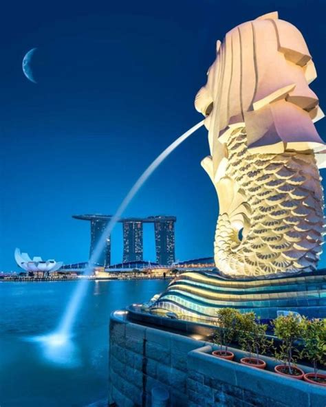 Singapura mempunyai lambang negara yaitu merlion yang berbentuk  