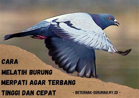 Sio burung  Kedainya terletak di Jalan KH Wahid Hasyim No 30-32 dan sudah terkenal di kalangan artis ibu kota hingga pejabat negara