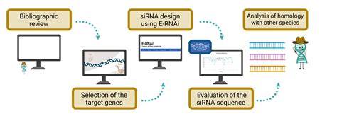 Sirna design tool Abstract