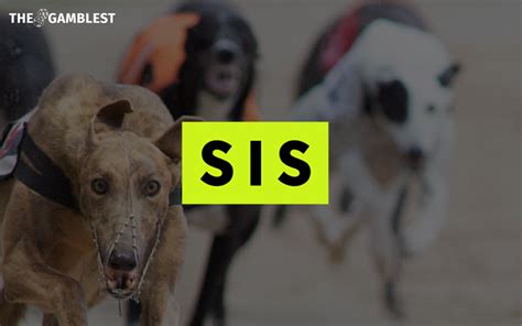 Sis greyhounds Featuring racecards, race results and latest Greyhound news