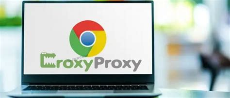 Situs proxy wla  Mudah dilacak serta disusupi 4