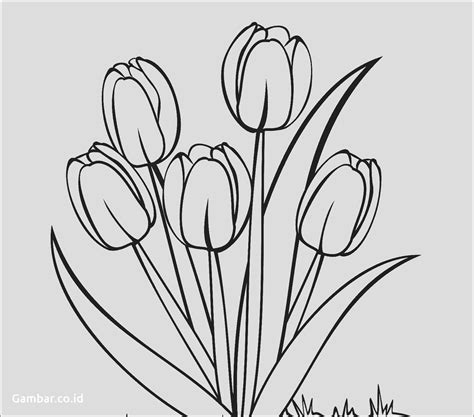 Sketsa bunga tulip berwarna  Cara Mudah Membuat Bunga Matahari Dari Kertas Do It