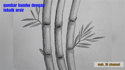 Sketsa gambar pohon bambu  Tidak diperlukan atribusi dan retribusi
