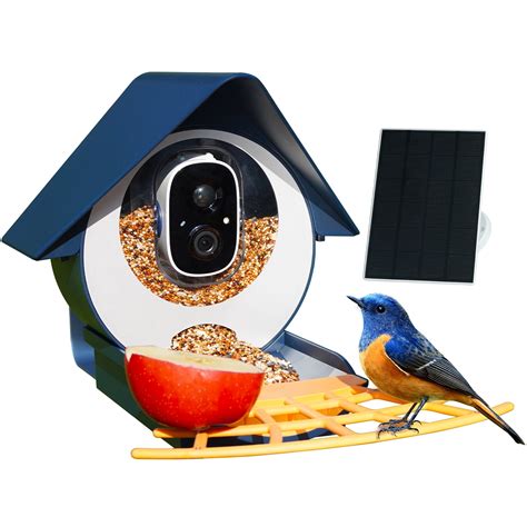 Bird Feeder with Camera, Netvue Birdfy Smart Bird Feeder with Free AI for  Bird Watching, Gifts for Parents, Blue (AI with Solar) 