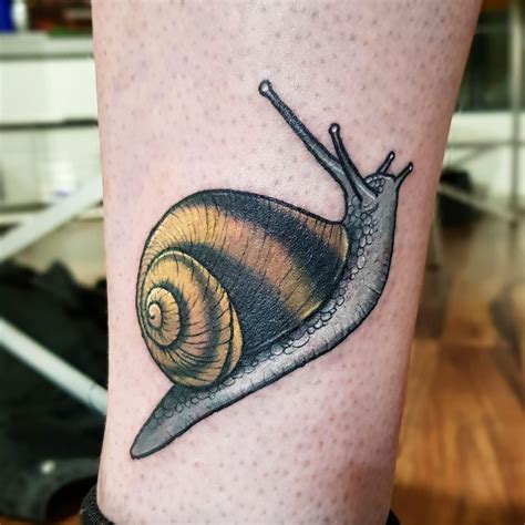Snail tattoo  D