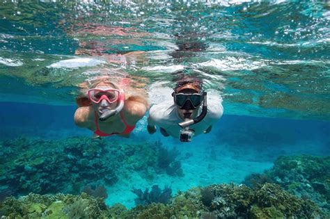 Snorkelling mooloolaba Whale Watching & Snorkeling Sunreef Mooloolaba offers Australia’s first Swim with Humpback Whales experience from July to October each year, premiere whale watching