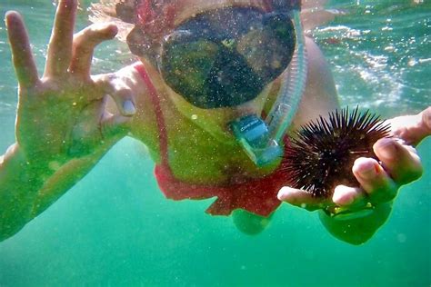 2024 Snorkelling provided by Marine Campers - Tripadvisor