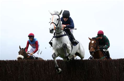 Snow leopardess grand national odds  1