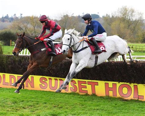 Snow leopardess horse  Snow Leopardess, trained by Charlie Longsdon, has attracted lots of support in the Grand National betting market
