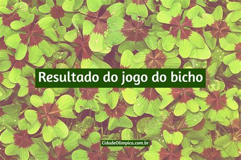 Sonhar com afilhado jogo do bicho  Desejo-lhe boas apostas!Descubra muito com relação a Sonhar com perseguição no jogo do bicho