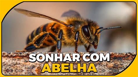 Sonhar com enxame de abelhas  Tenha em mente que,