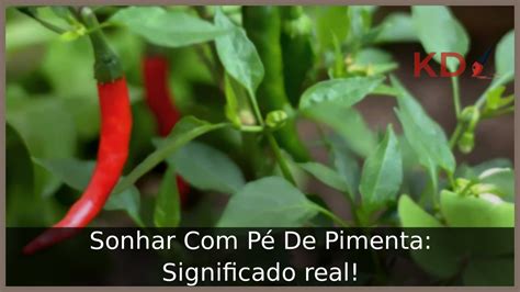 Sonhar com pés de pimenta  Manchas brancas na pimenta