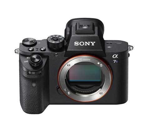 Sony a7cii  It is true that DSLRs still reign in sports and wildlife, however, the differences are quickly shrinking