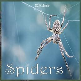 Spider escorts  You can get