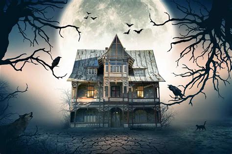 Spooky house echtgeld Visit this spirit world and see what you might conjure up