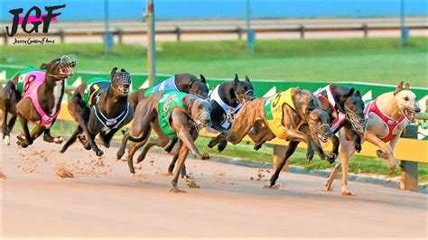 Sporting life greyhound racing results © 2023 Hestview Ltd