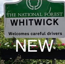 Spotted whitwick  This evening our