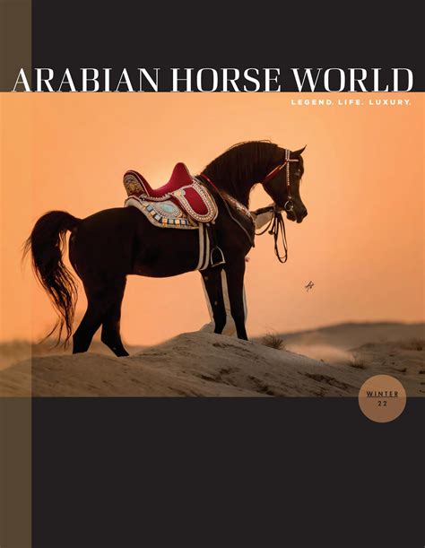 2024 Stallion Directory by Arabian Horse World - Issuu