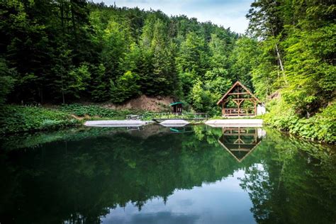 Stanovi zavidovici  Životinje, oprema i hrana