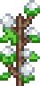 Starbound cotton seed For the life of me I cannot find cotton in any systems, even on lush planets