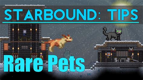 Starbound rare pets  Stone Sword