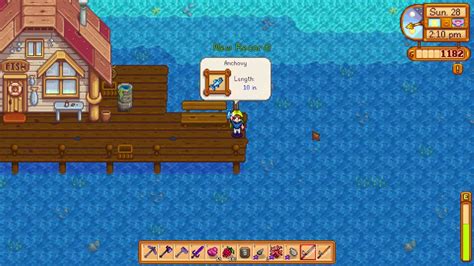 Stardew anchovy  Talk:Anchovy