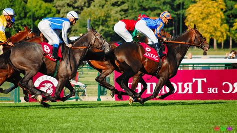 Steepledown results  With trainer Sean McDermott doing double duty in the saddle, Fleeting Atte was content to sit off the pace