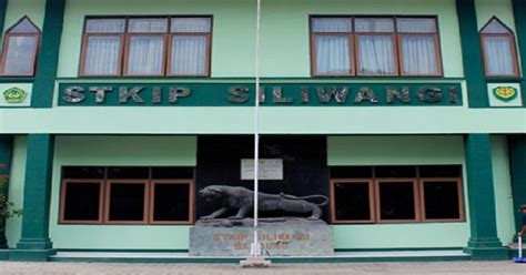 Stkip siliwangi ulasan  2, November 2015 241 intention of the writer