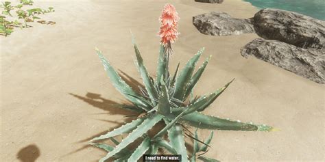 Stranded deep aloe salve  A bandage can only be used once