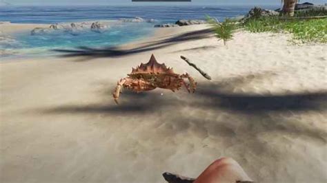 Stranded deep king crab The crabs are rare