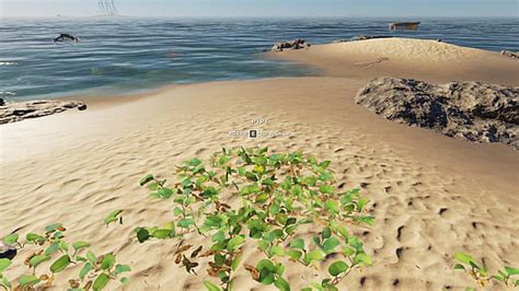 Stranded deep poison no antidote  The plants were growing, and by day 2 no Pipi was ready