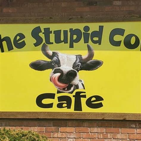 Stupid cow hayden  Restaurant The Stupid Cow Cafe