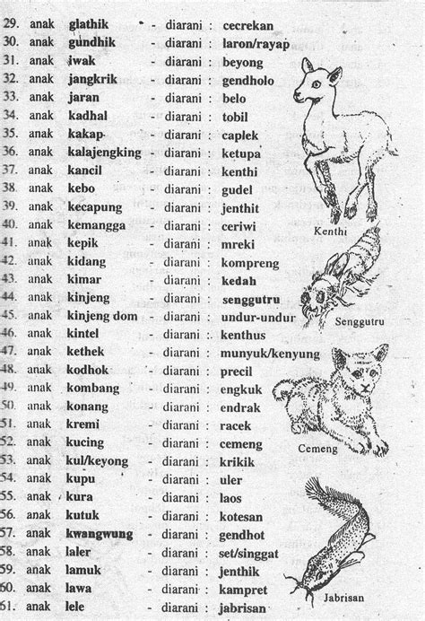 Suara hewan bahasa jawa Etimologi