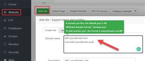 Subdomain aapanel com A record in the domain dns record in [cPanel / Zone Editor / domain