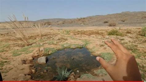 Sumber mata air di gurun tts  Angin gurun yang kering, berdebu, umumnya panas (di Mesir dan di atas Laut Merah) FATAMORGANA