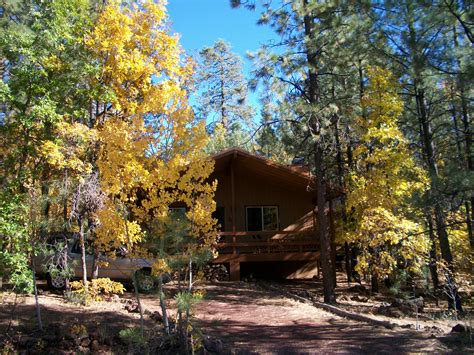 Summer rentals in pinetop az  The space is perfect for our dogs and the lake was around the corner (less than 1/4 mile) away