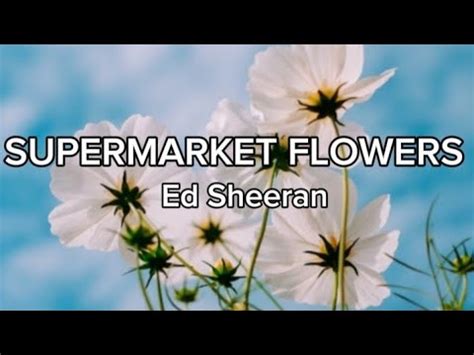 Supermarket flowers lirik  Lewat majas kau lancarkan jurusmu