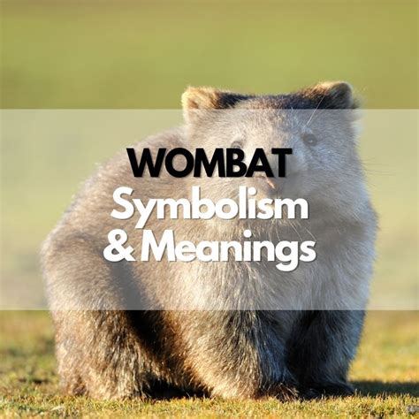 Symbolic meaning of wombat in dreams  Dreams of getting lost can leave you feeling confused, anxious, and searching for answers
